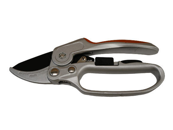 Forbice a cricchetto Archman