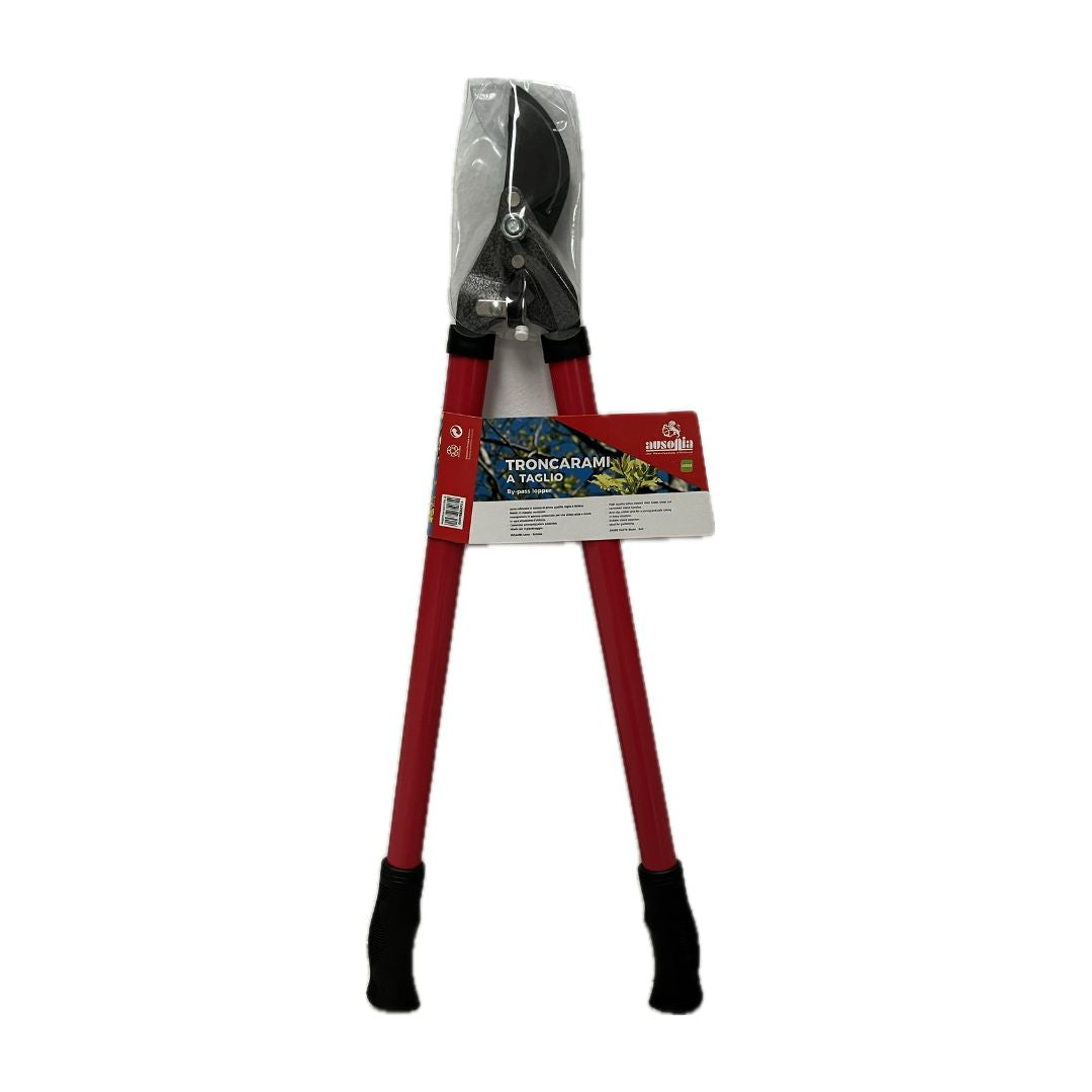 Troncarami a taglio Ausonia