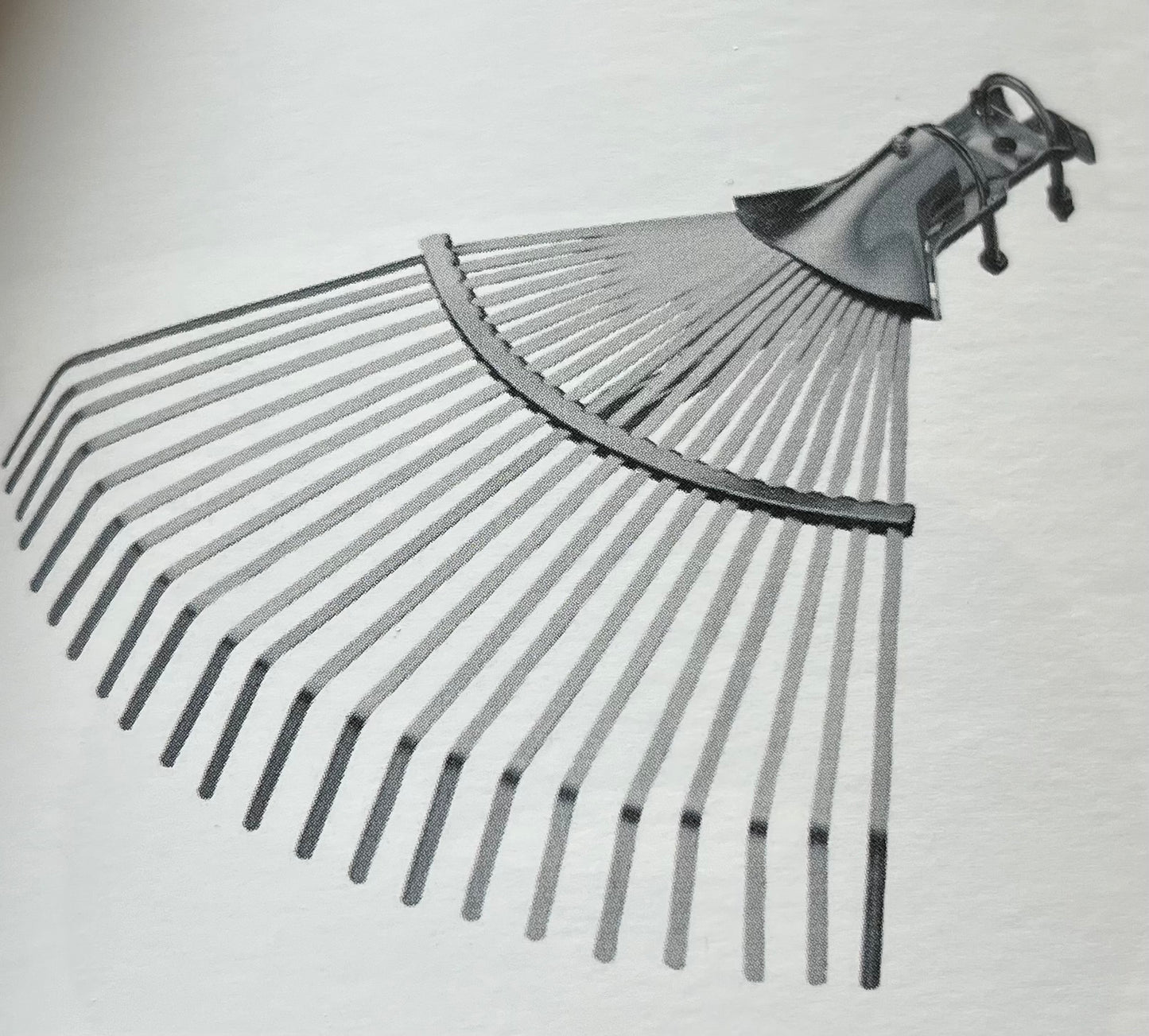 Scopa raccogli foglie Ausonia Cod.35116